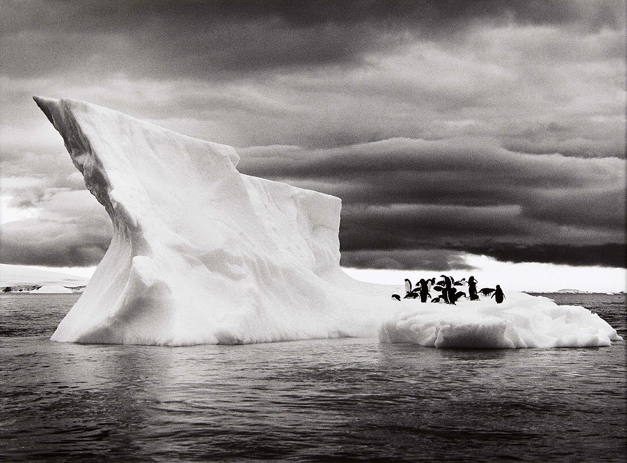 Фотограф Себастио Сальгадо (Sebastiao Salgado)